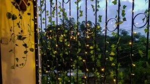 A balcony with a wooden table and chair, surrounded by a metal trellis with climbing plants and string lights.