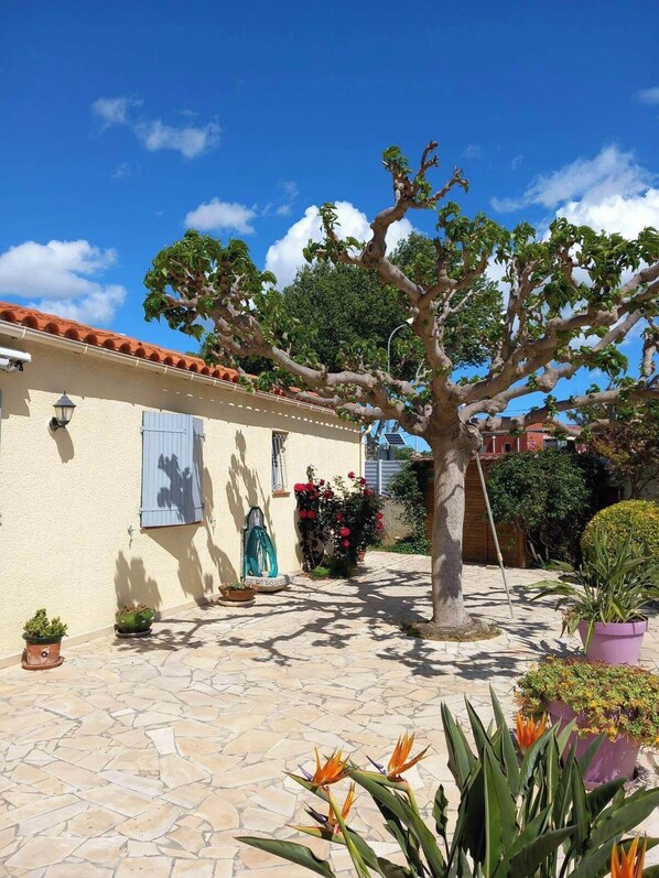 Àrea exterior de l'allotjament