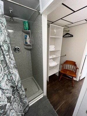 Shower, hair dryer, towels