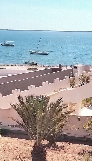 Vista costera con barcos en el agua, una palmera y un edificio de techo plano.