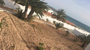 A sandy beach with palm trees and a view of the sea. - Magnificent waterfront villa + Kerkennah swimming pool (bounouma)