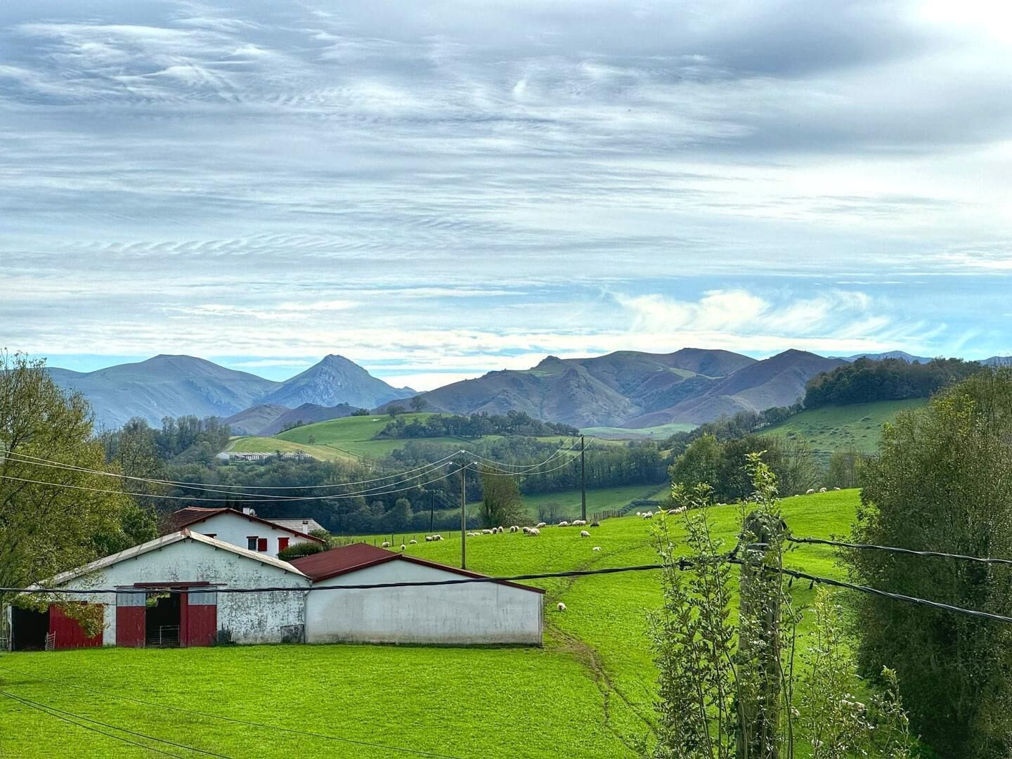 Un paysage rural avec un bâtiment blanc doté d’un toit rouge, entouré de champs verdoyants et de moutons.