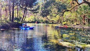 A calm river with clear water, surrounded by trees and greenery. - Cozy River Cabin | Escape to Seven Sisters Springs (Homosassa)