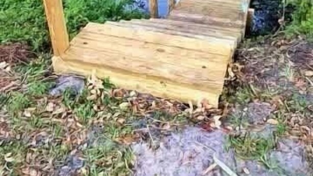 A wooden dock extending into a pond surrounded by greenery. - Cozy River Cabin | Escape to Seven Sisters Springs (Homosassa)