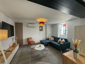 TV - KURUTXETA - LASSE - Gîte (LASSE)