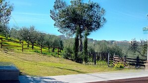 A wooden deck with a stone pathway leading to a fenced area with trees and a view of a distant town.
