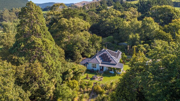Una casa circondata da una fitta foresta con una vista aperta sulle colline circostanti.