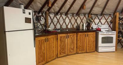Magpie Springs Yurtship in Dillon with WiFi