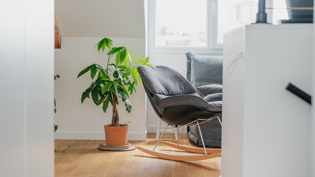 Une pièce avec une plante en pot, un fauteuil à bascule et une armoire blanche.