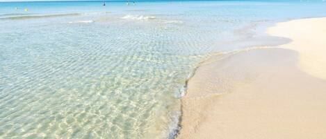 Plage à proximité
