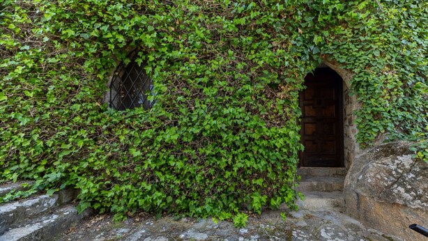 A stone building partially covered with green ivy. - Castle 'Isla Del Burguillo' with Private Terrace, Private Garden and Wi-Fi (Avila)