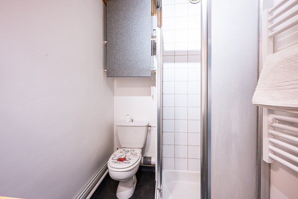 Une salle de bain équipée de toilettes, d’une douche et d’un porte-serviettes.