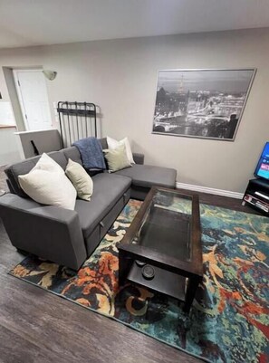 Smart TV, DVD player, video library
