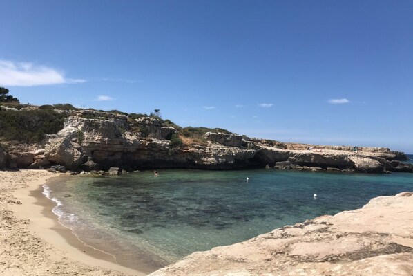 Camastros y toallas de playa 