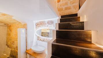 Regadera, secadora de cabello, bidet, toallas