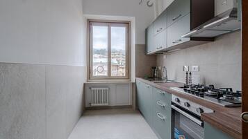 Kühlschrank, Ofen, Herdplatte, Geschirrspüler