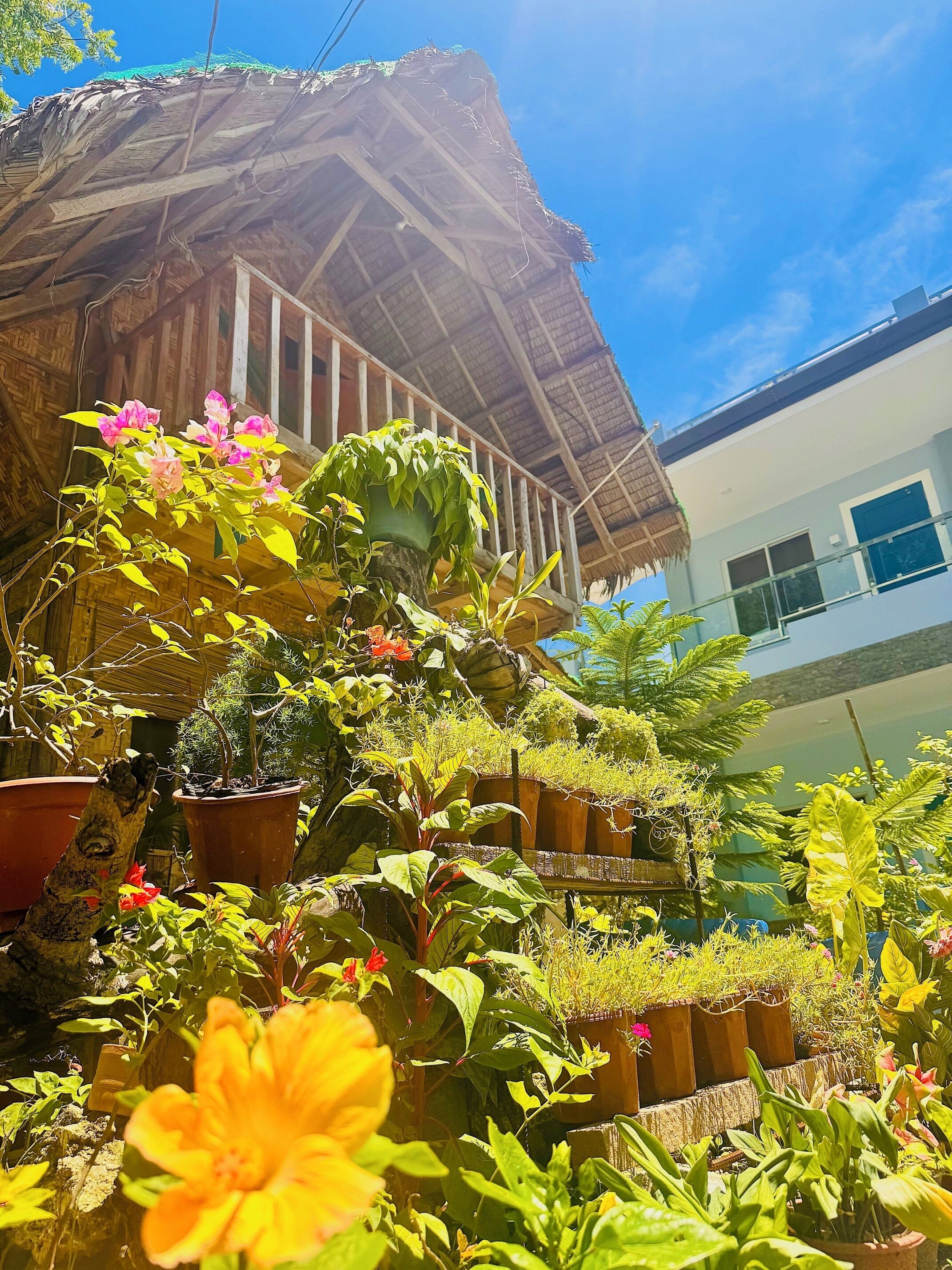 Habitación, 1 habitación, con acceso para personas discapacitadas, patio | Jardín