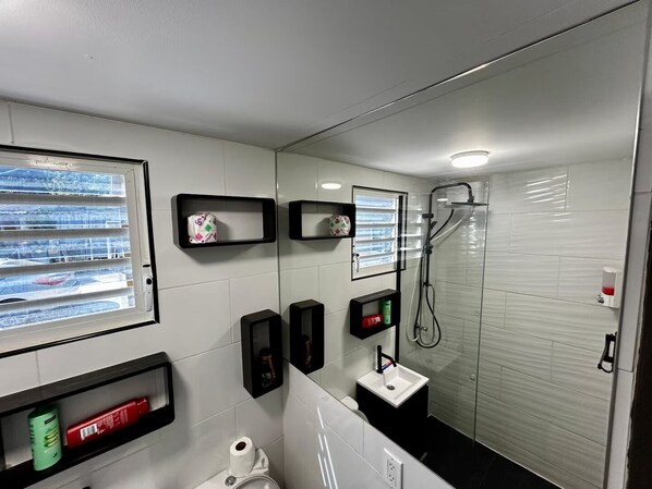 Shower, hair dryer, towels, soap