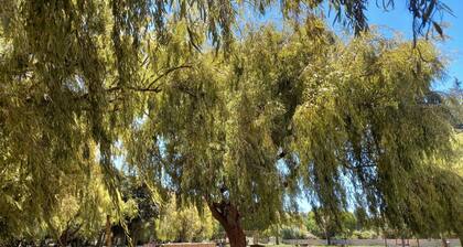 Complejo Turístico Cruz Mendoza