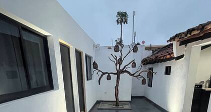 Kasa Morelos Hotel Boutique