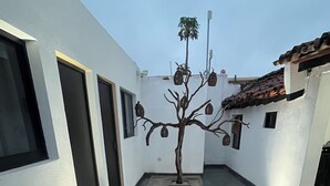 Un patio con un árbol decorativo, una maceta de cerámica grande y dos mesas de madera.
