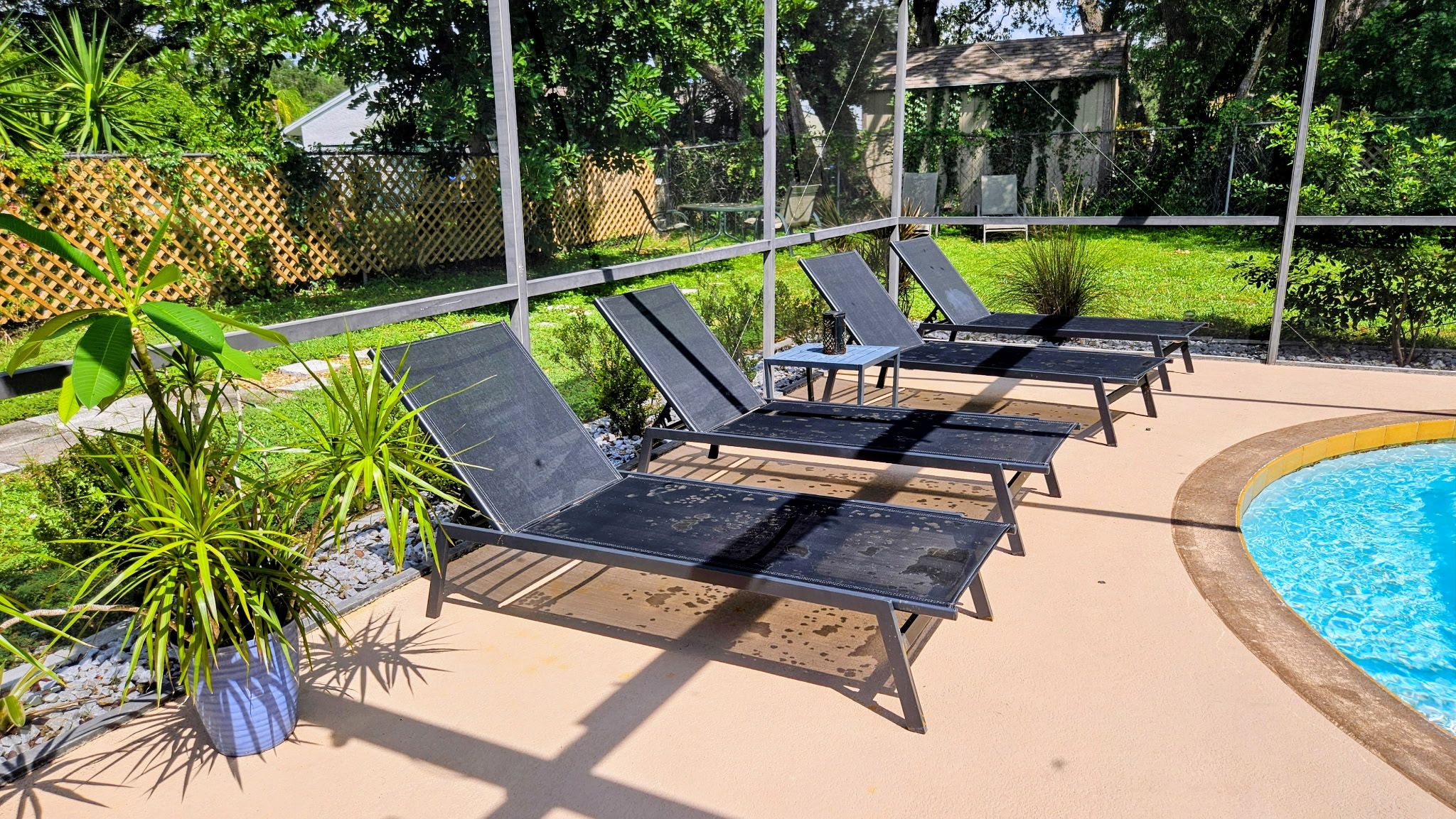 Un espace aménagé au bord de la piscine, avec des chaises longues, une piscine et une végétation luxuriante tout autour.