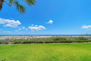 Um campo gramado com uma praia e oceano ao fundo.