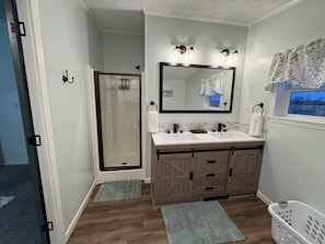 Shower, jetted tub, hair dryer, towels