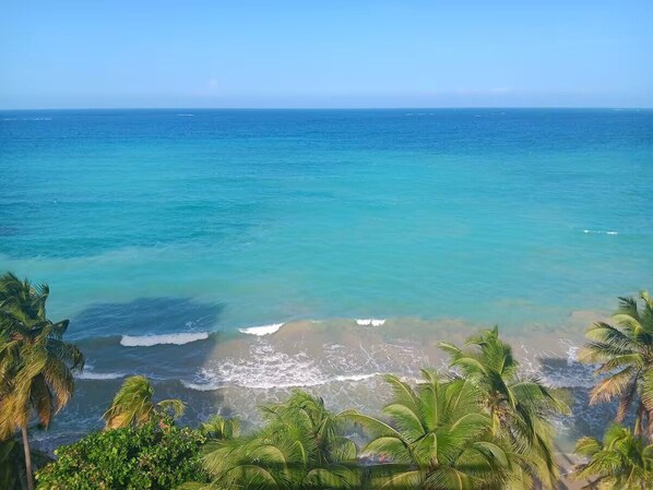 Een strand met helder turquoise water, palmbomen en uitzicht op de oceaan.