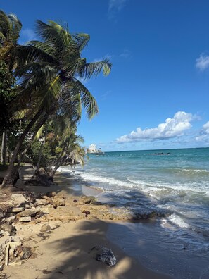 A beach with palm trees, a rocky shoreline, and a view of the ocean.