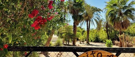 DĂ©tail de lâextĂ©rieur