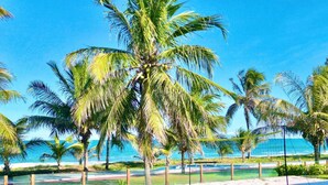 Una playa con palmeras y un cielo azul despejado.