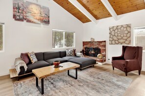 TV, fireplace, books