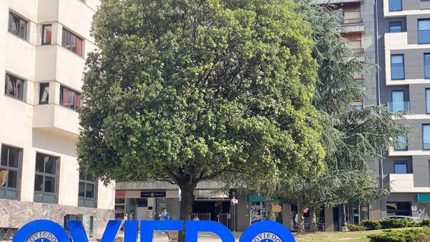 Un edificio con un gran árbol en primer plano, y el nombre "OVIEDO" bien visible.