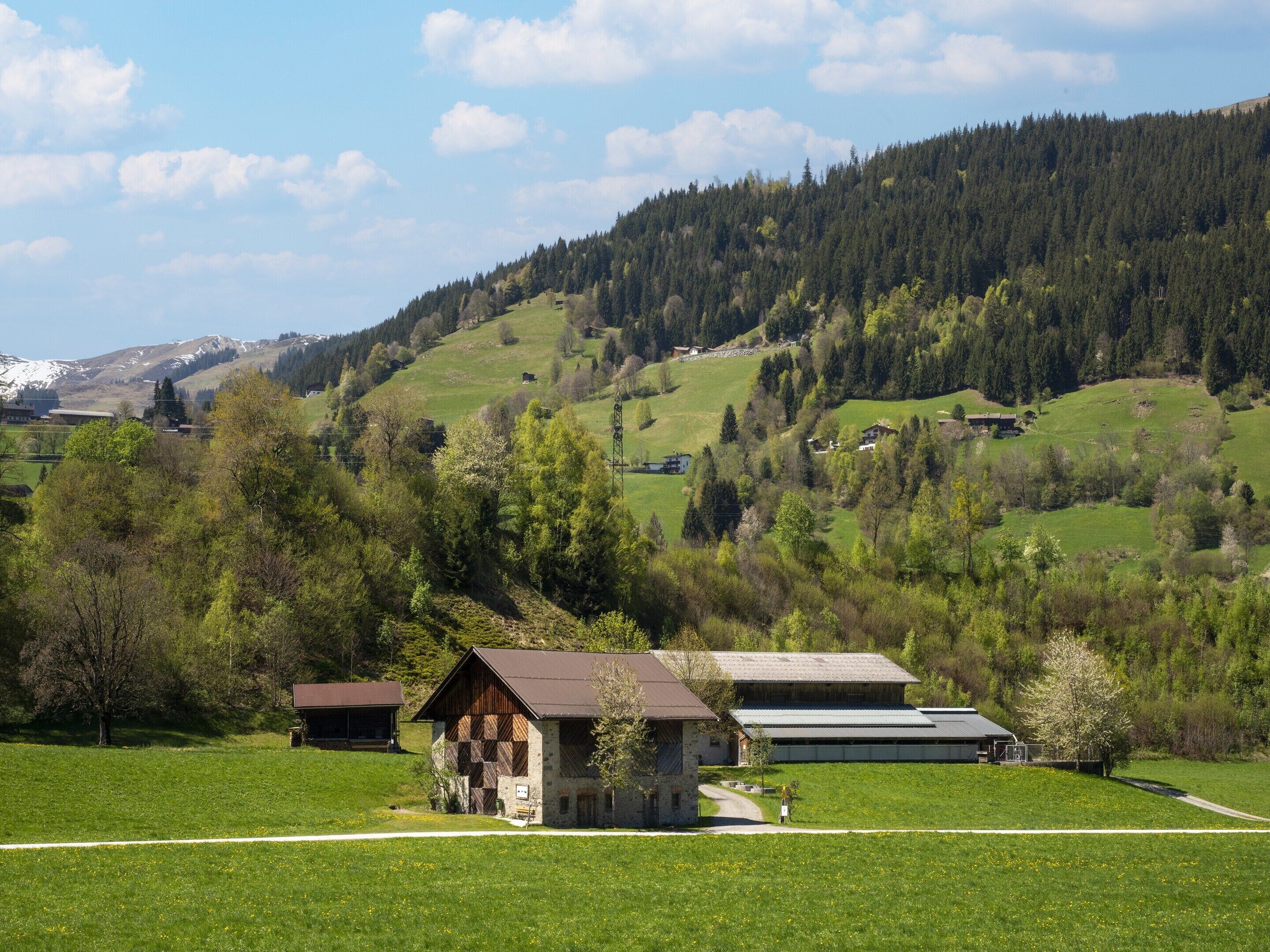House | View from property