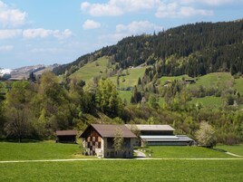 Ländliche Landschaft mit einem kleinen Gebäude, einem Stall und einem Feld.