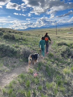 Pet-friendly - Meadowlark Yurt in Dillon with WiFi (Dillon)