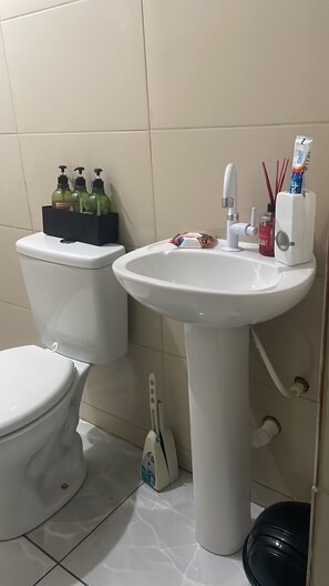 Hair dryer, soap, shampoo, toilet paper