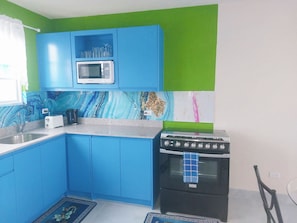 Kitchen features a stove, microwave, and window with a rug.