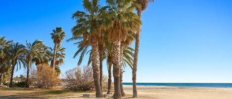 Playa en los alrededores