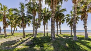 Una playa con palmeras y una vista despejada del océano.