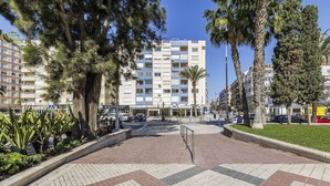 Un edificio de varios pisos con balcones, rodeado de palmeras y un área pavimentada con un diseño geométrico.