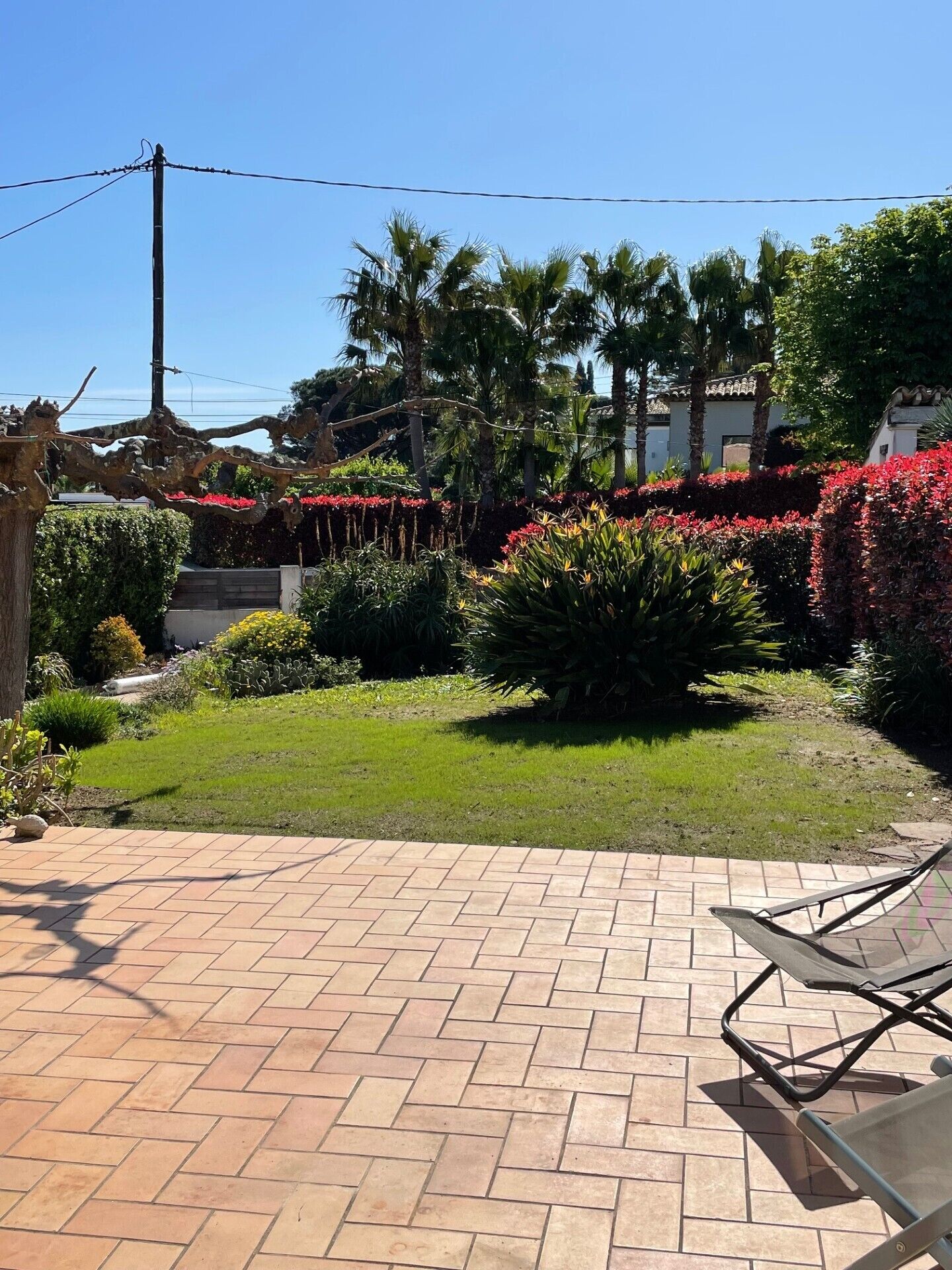Une terrasse dallée avec une chaise et une petite table, entourée de jardins bien entretenus et de palmiers.