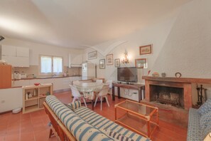 Televisión y chimenea 