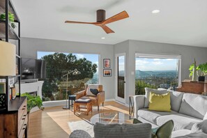 TV, fireplace, offices