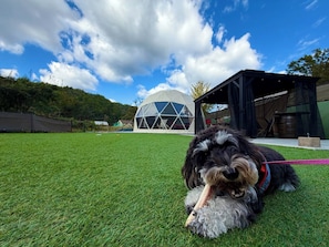 Enceinte de lâhĂ©bergement