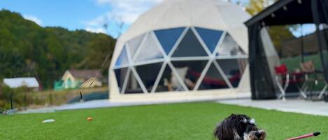 Àrea exterior de l'allotjament