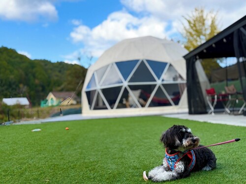 Meals included small dogs allowed Glamping BBQ  / Sanda City Hyōgo