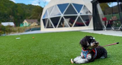 Meals included small dogs allowed Glamping BBQ / Sanda City Hyōgo