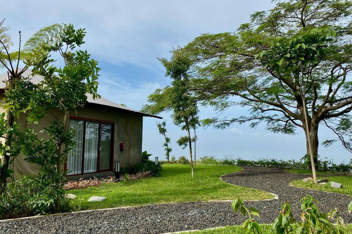 Une maison avec un jardin, un chemin de gravier et un grand arbre.